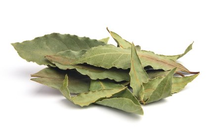 Avocado Leaf Spice 14g